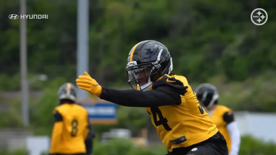 Five Forgotten Steelers Entering Training Camp