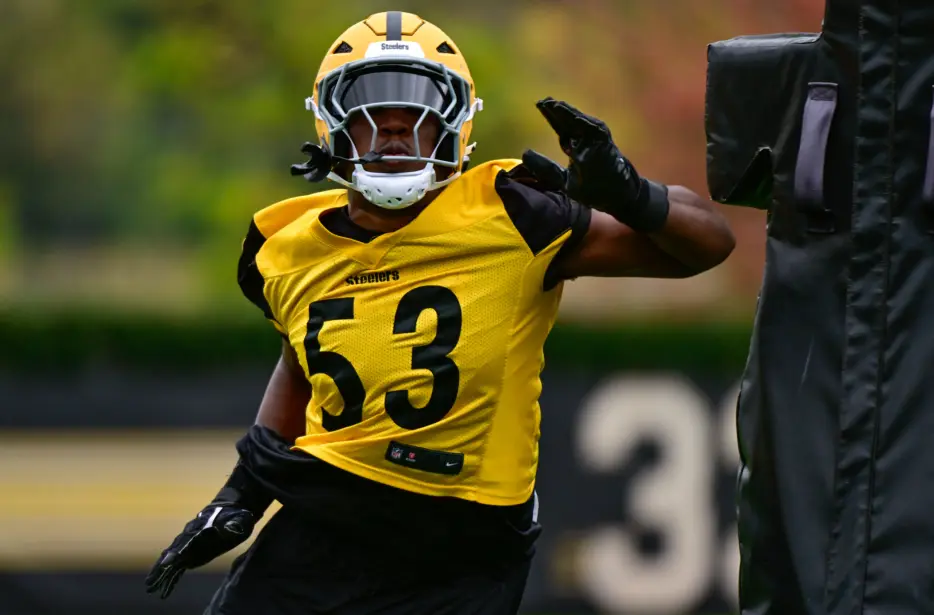 Steelers Cut Ties with Promising Outside Linebacker