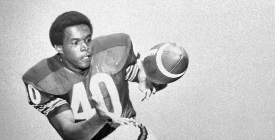 My All-Time Chicago Bears Historical Team: The Bear Essentials