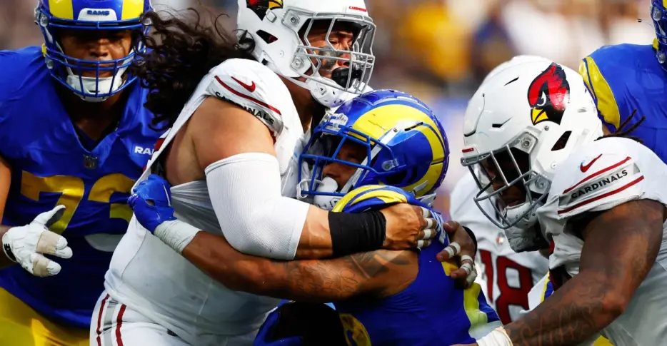 Cardinals roster: Training Camp DT Outlook