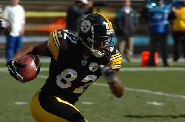 Ten Former Steelers on College Football Hall of Fame Ballot