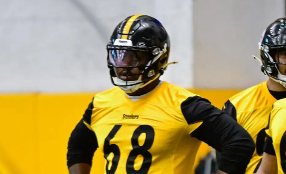 Former Steelers Defensive Lineman Signs with NFC Team