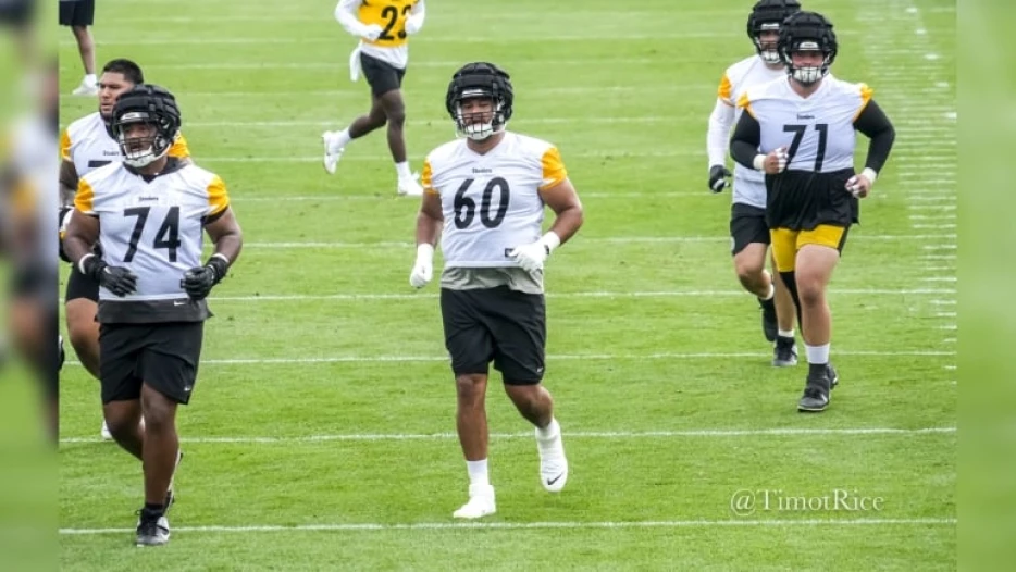 Steelers waive OT Dylan Cook, sign OLB to practice squad