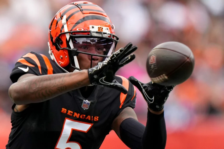 Tee Higgins Expected To Leave Bengals In 2025