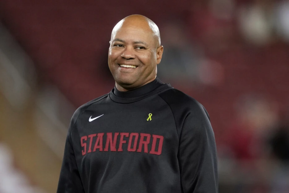 Lions To Add David Shaw To Staff