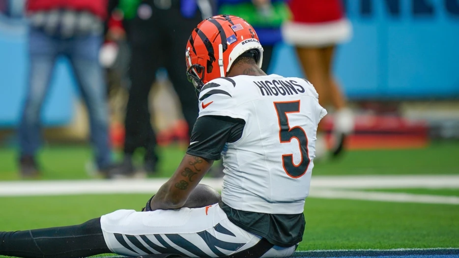 Patriots Should Feel Optimistic About Bengals Exec’s Tee Higgins Comments