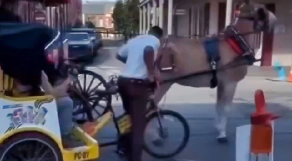 Jameis Winston Almost Crashed Into A Horse While Hilariously Trying To Drive People Around New Orleans In A Bike Taxi