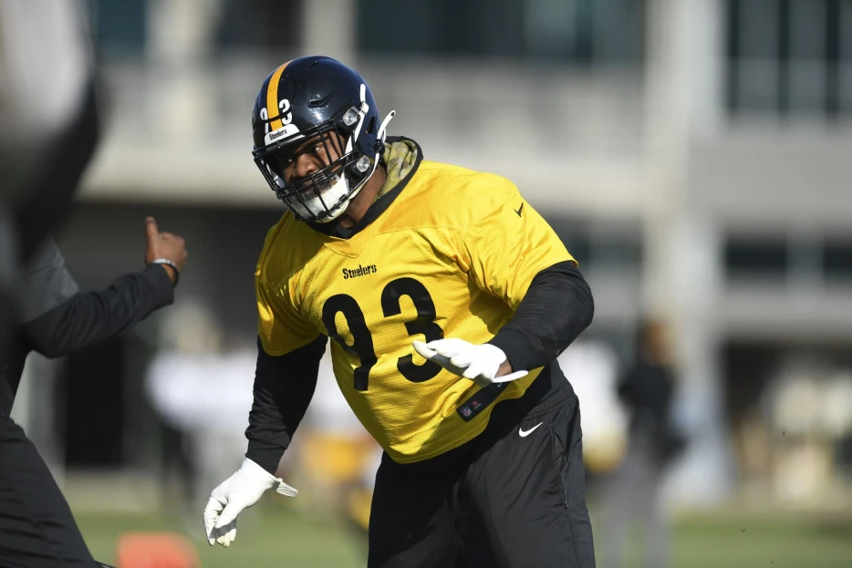 Former Steelers Defensive Tackle Finds New Pro Home