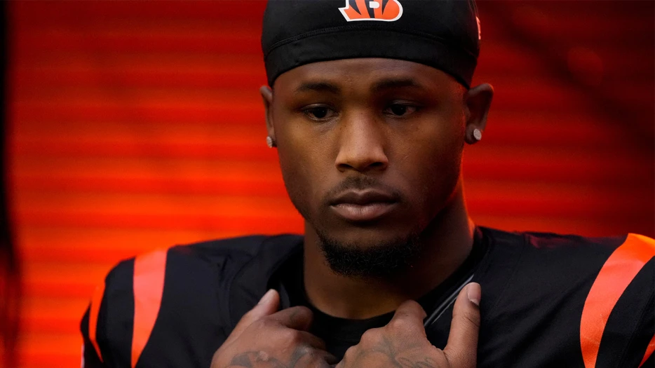 Tee Higgins’ Mom, Lady Stewart, Scares Bengals Fans With 2-Word Message After Franchise Tag News