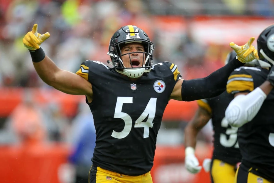 Former Steelers LB Announces Retirement