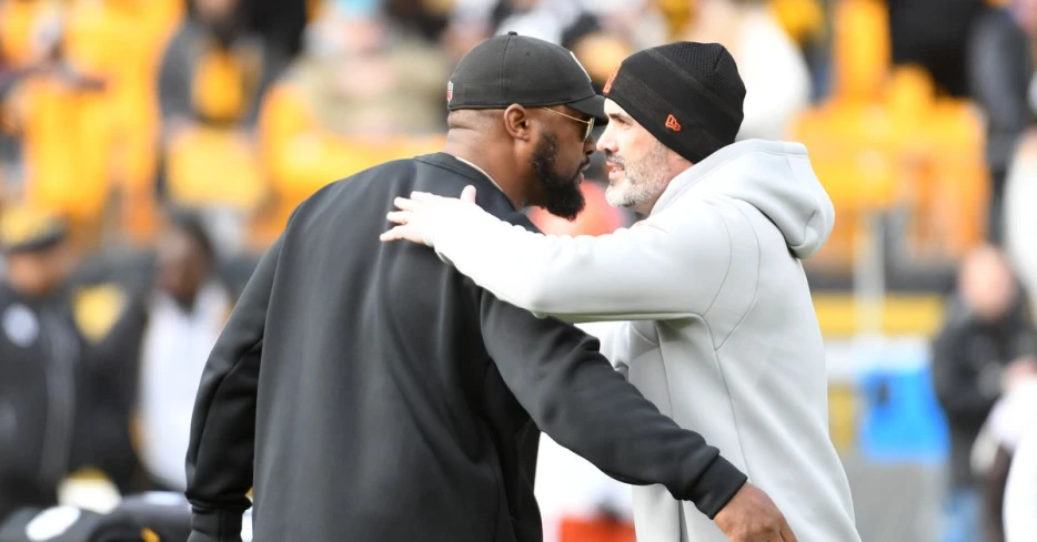AFC North: How did the Browns division rivals fare in the NFL draft?