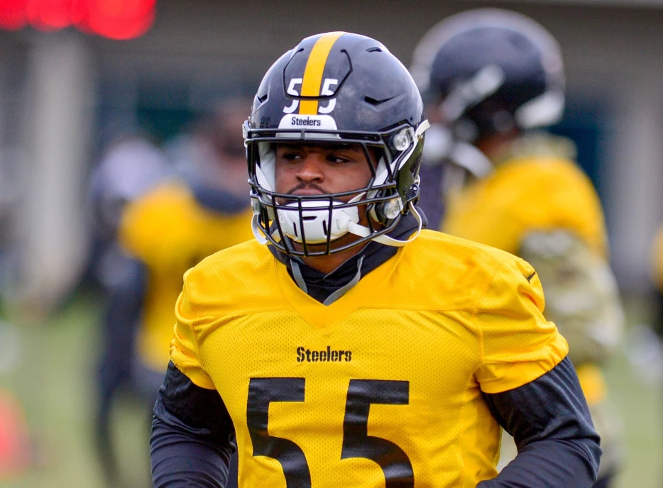 Details Revealed in Arrest of Ex-Steelers LB Devin Bush