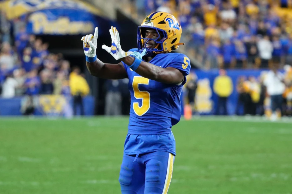 Steelers Invite Star Pitt Safety for Rookie Tryout