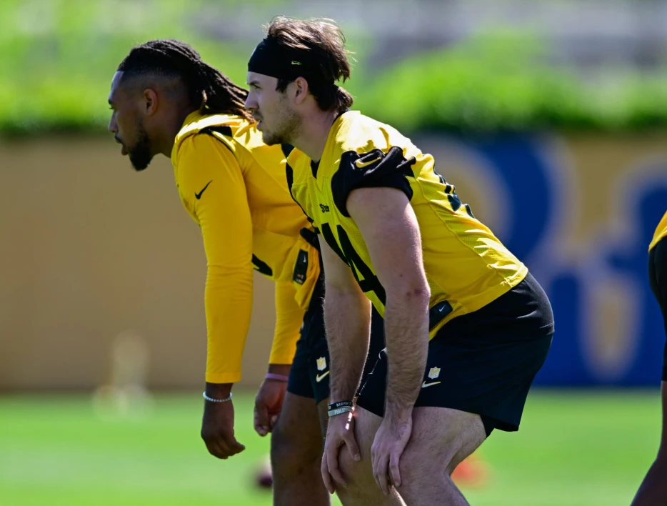 Rookie LB Was Raised on Hard-Nosed Steelers Culture