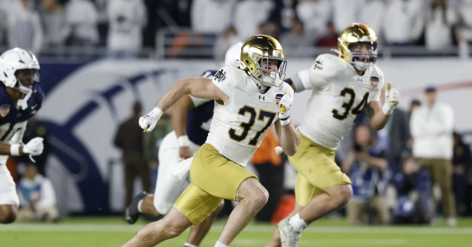Steelers sign 3 following rookie minicamp, release RB