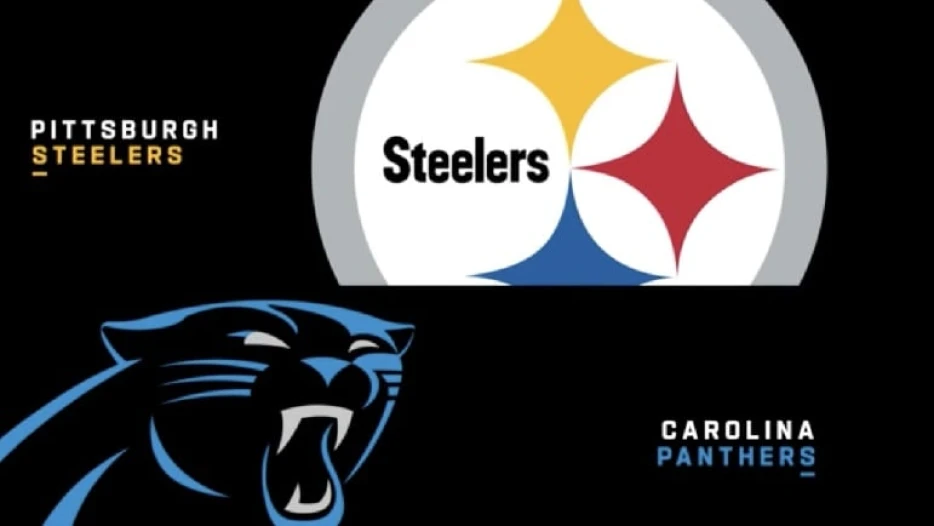 Panthers Interested In Holding Joint Practice With Steelers