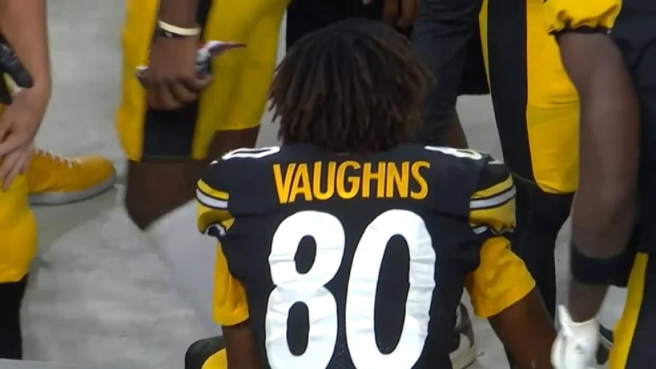 Watch: Ex-Steelers WR Tyler Vaughns Makes Impressive One-Handed TD Catch In UFL