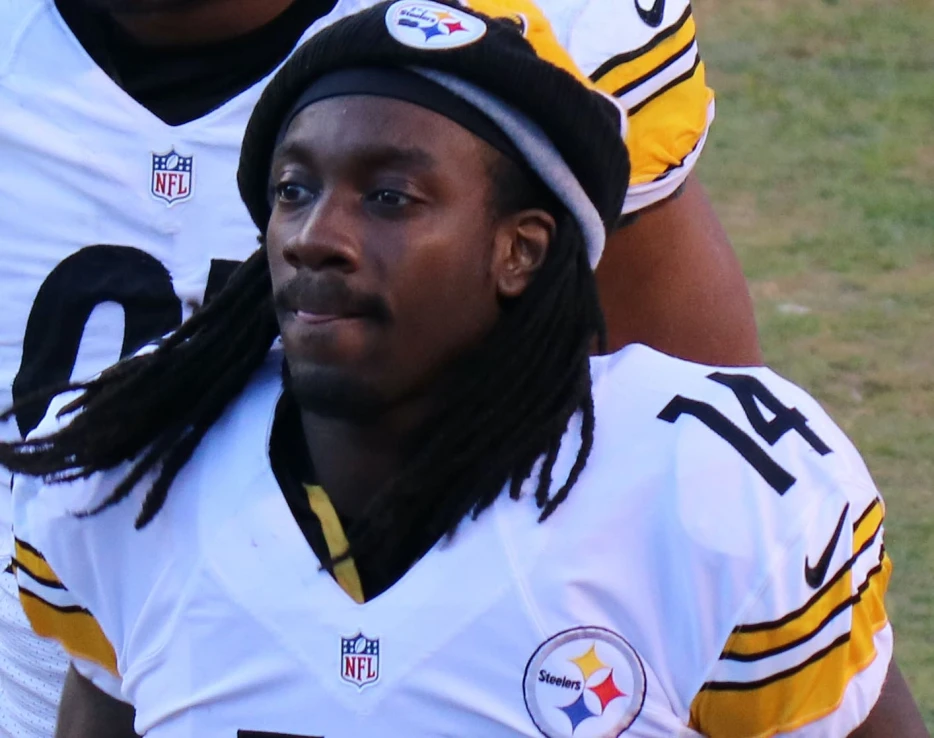 Ex-Steelers WR Reflects on Injury-Riddled Career: ‘I Didn’t Listen’