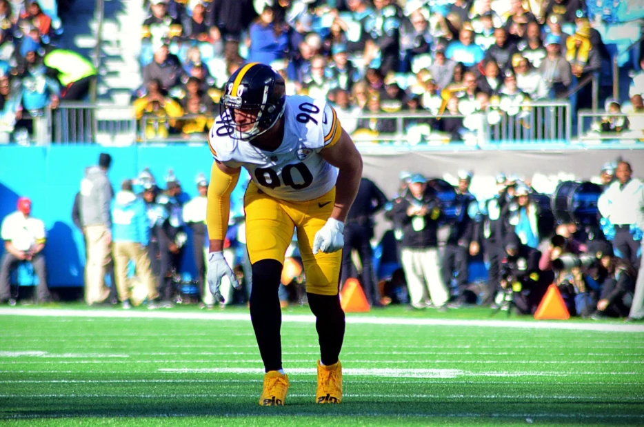 Panthers Schedule Joint Practices, But Not with Steelers