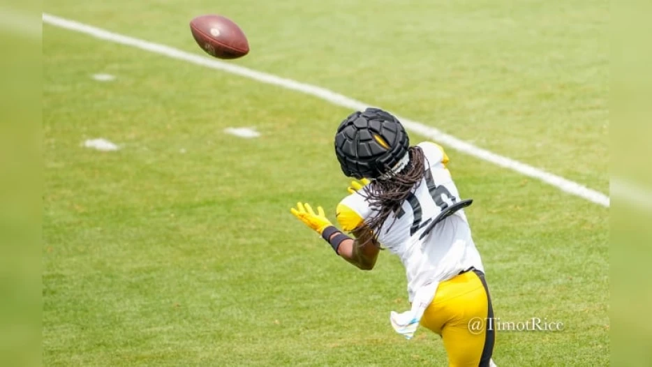 Several Former Steelers Shining As UFL Wraps Up Regular Season