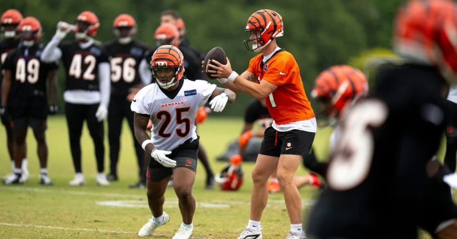 ESPN projects the Bengals to be a playoff team
