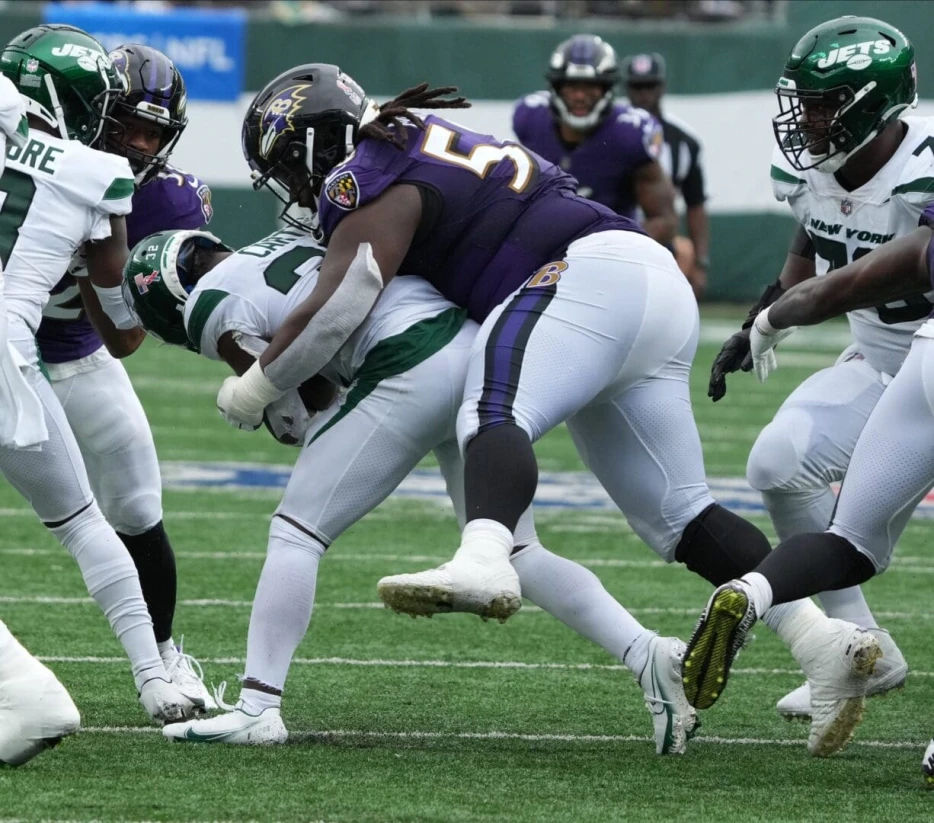 Ravens Officially Placed DT Michael Pierce On Retired List, Signed DT John Jenkins