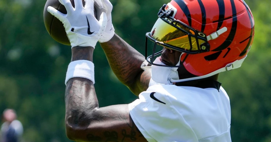 Tee Higgins is eyeing the Pro Football Hall of Fame