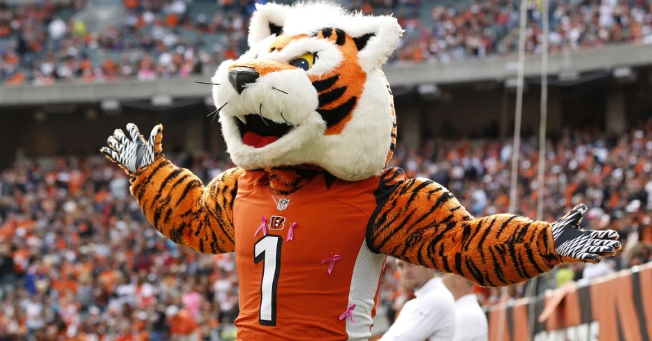 Bengals News (6/16): P.H.A.T.