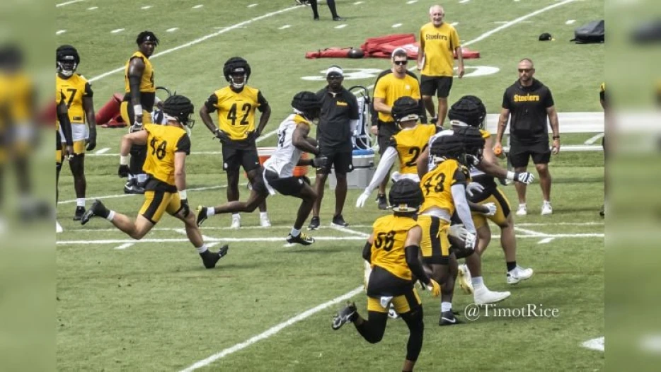 Which Steelers Have Most To Lose In Training Camp?