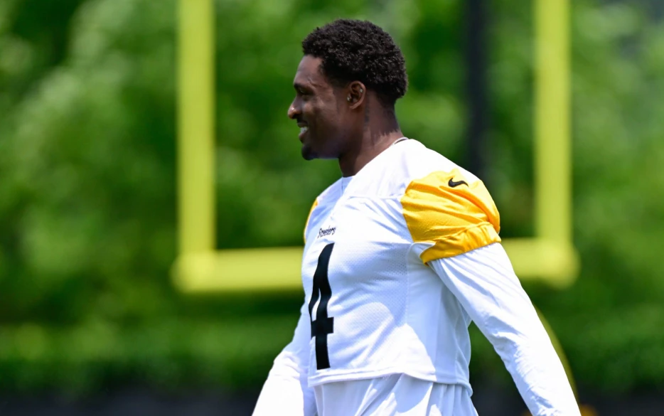Former WR Has Big Expectations for Steelers DK Metcalf in 2025