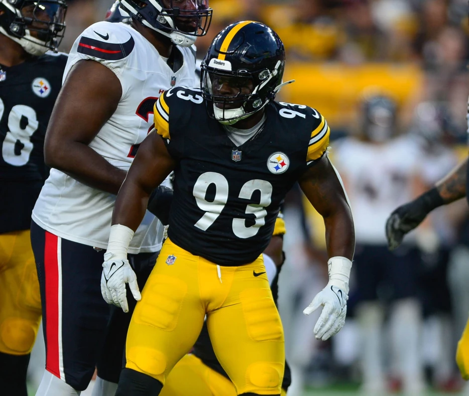 Mark Robinson Faces New Challenge in Crowded Steelers LB Room