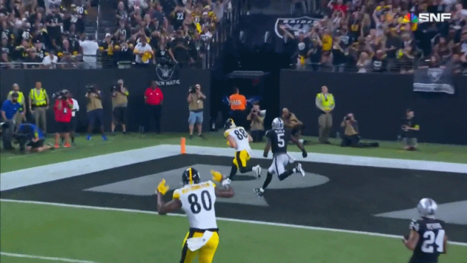 Steelers 2025 Pre-Training Camp Roster Review — Tight End