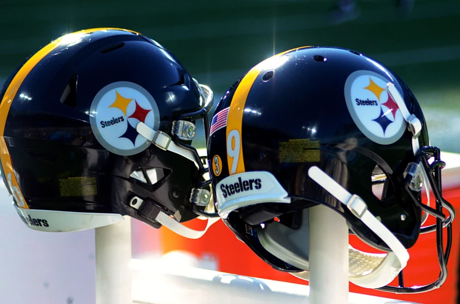 Rooney Family Member Bashes Steelers: ‘They Are Going To Steamroll Us This Year’
