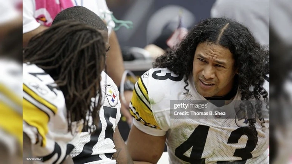 Analyst Includes Ed Reed, But Not Troy Polamalu, On List Of Best NFL Players Since 2000