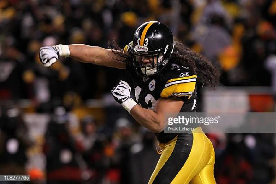 ‘Do-It All Wrecker’ Troy Polamalu One Of NFL Draft’s Biggest Safety Values