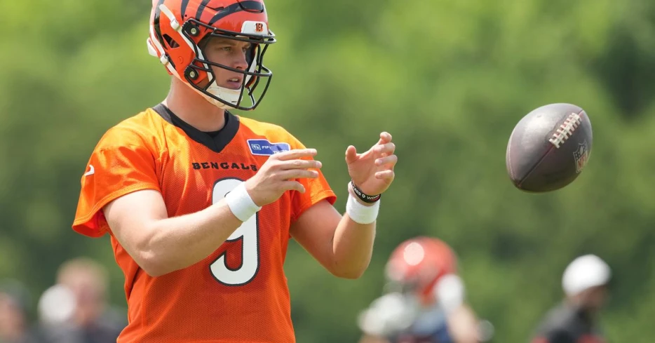 NFL executives, scouts, and coaches praise Joe Burrow in 2025 QB rankings