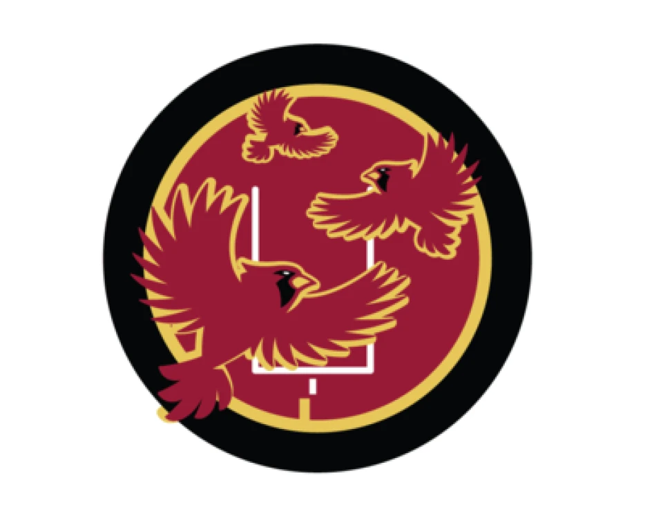 NFL Film’s Greg Cosell’s take on the 2025 Arizona Cardinals