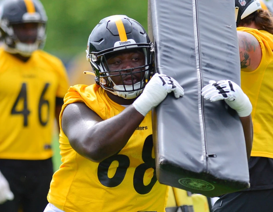 Former Steelers Defensive Tackle Retires