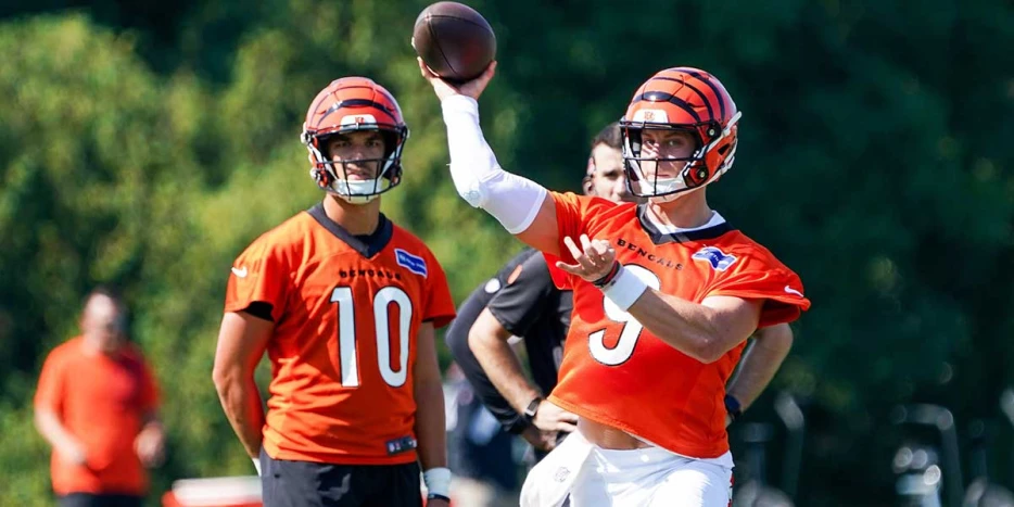 Ex-Seahawks tight end to visit Bengals