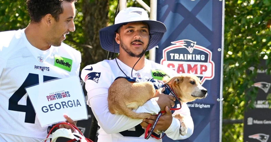 Watch: Patriots kicker Andres Borregales gets a 4-legged training camp surprise