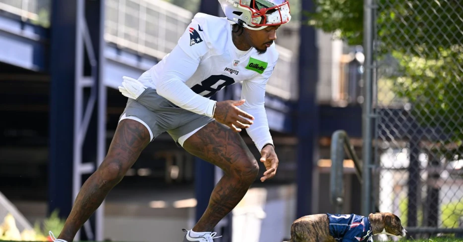 Watch: Stefon Diggs almost loses dog on Patriots’ pet adoption day