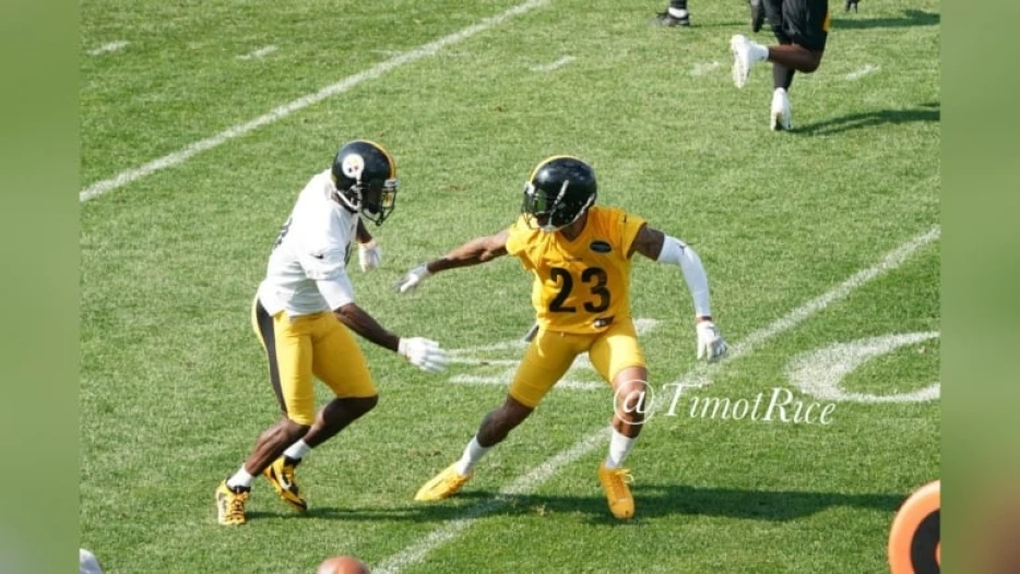 Joe Haden Recalls Viral Training Camp Clip Against Antonio Brown
