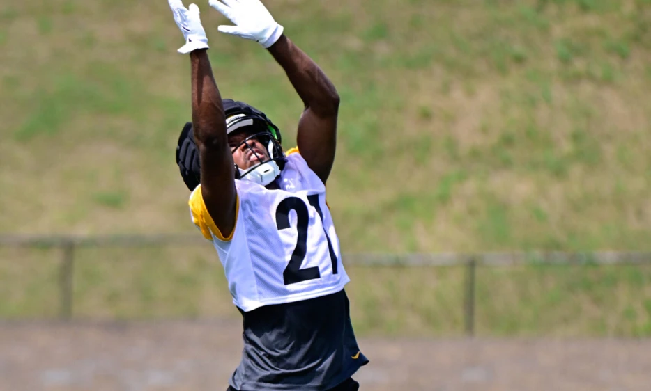 Steelers Waive Promising Rookie WR after Injury