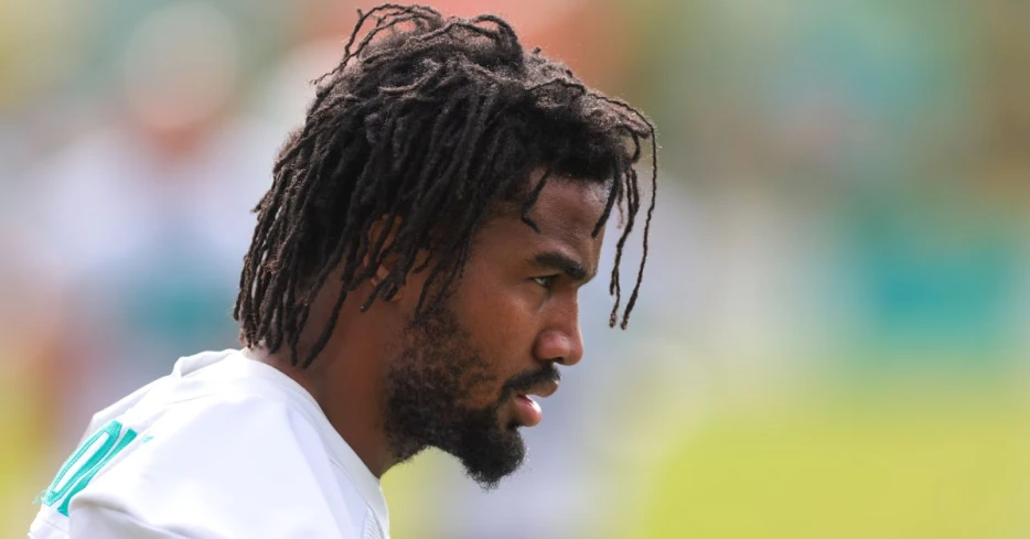 7/30/25 UPDATE: Miami Dolphins Orange Jersey Award TRACKER; A penguin is thriving in South Florida!