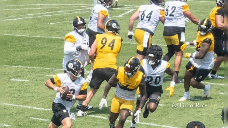 From Top Down, Steelers Getting  ‘A Lot Better Explanation’ On Defense This Year, Patrick Queen Says