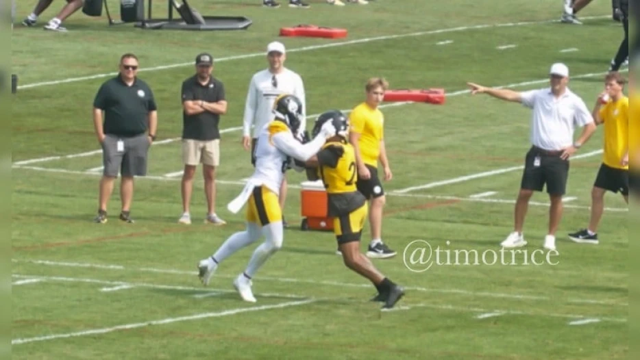 Two New Steelers Mix It Up In Heated Camp Scuffle (Update)