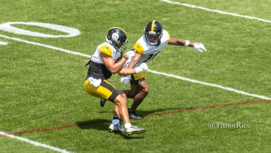 Roman Wilson Credits ‘Brother’ Calvin Austin III For Helping Him Deal With Rookie Injury