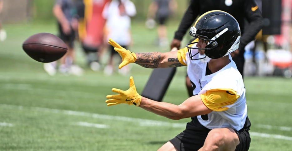 Wednesday links: Should the Steelers be worried about WR Roman Wilson?