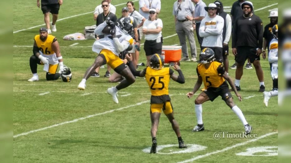Mike Tomlin Announces Number Of Veterans Will Sit In Preseason Opener