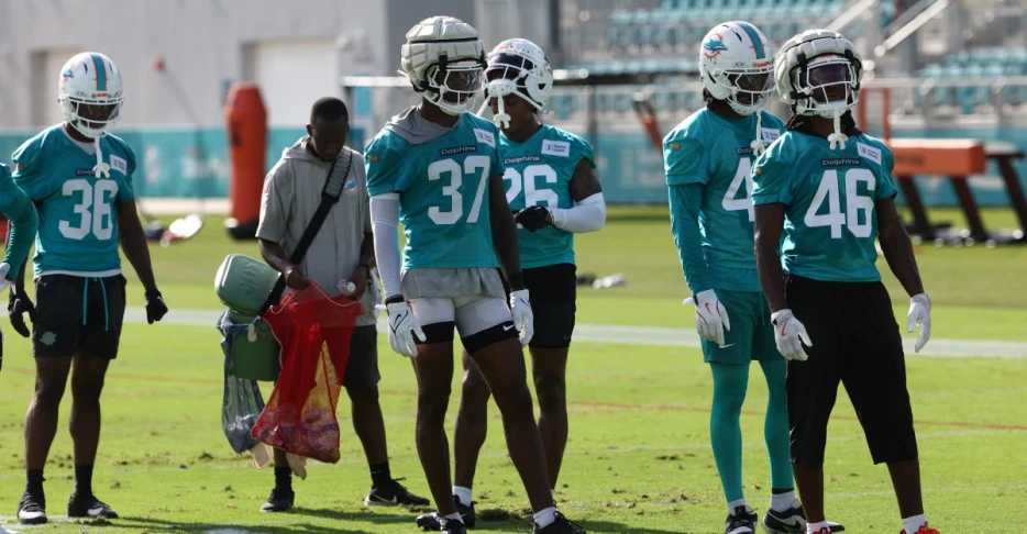 Dolphins going on a road trip -The Splash Zone 8/8/25